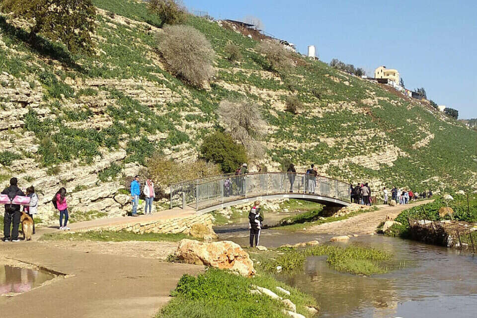 מטיילי בנחל ציפורי , הרצי שפירא