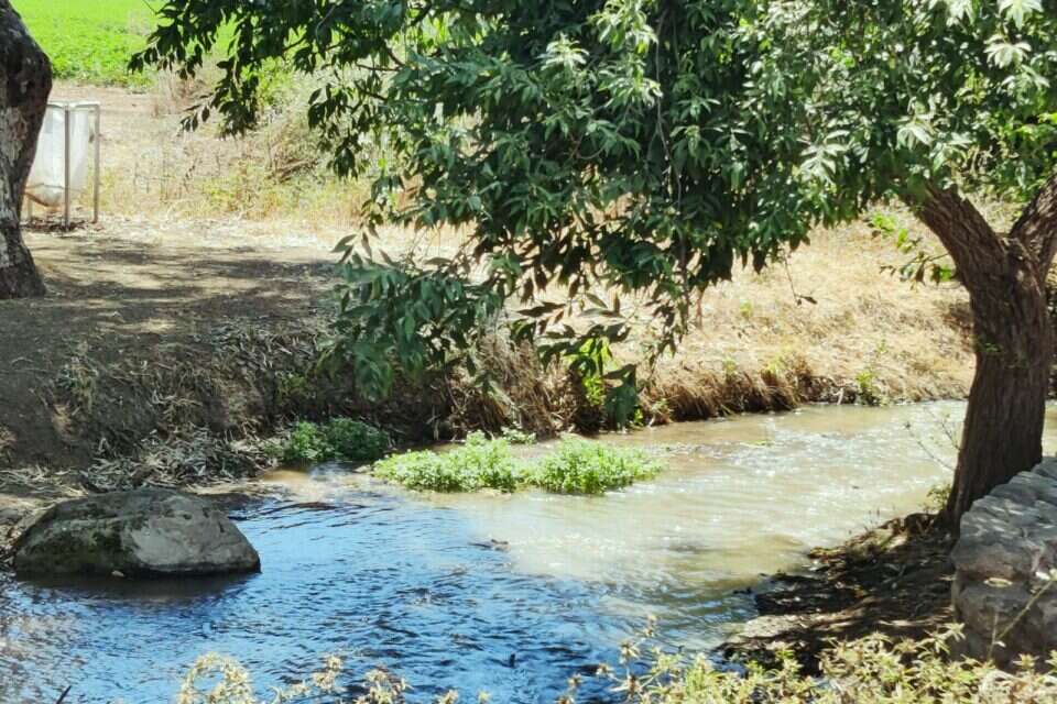 נחל ציפורי, ארכיון , דוברות רשות ניקוז ונחלים קישון
