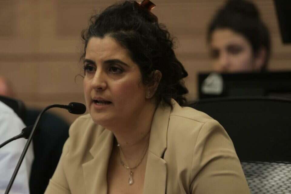 יועמ"שית הכנסת, שגית אפיק (ארכיון) , אורן בן חקון