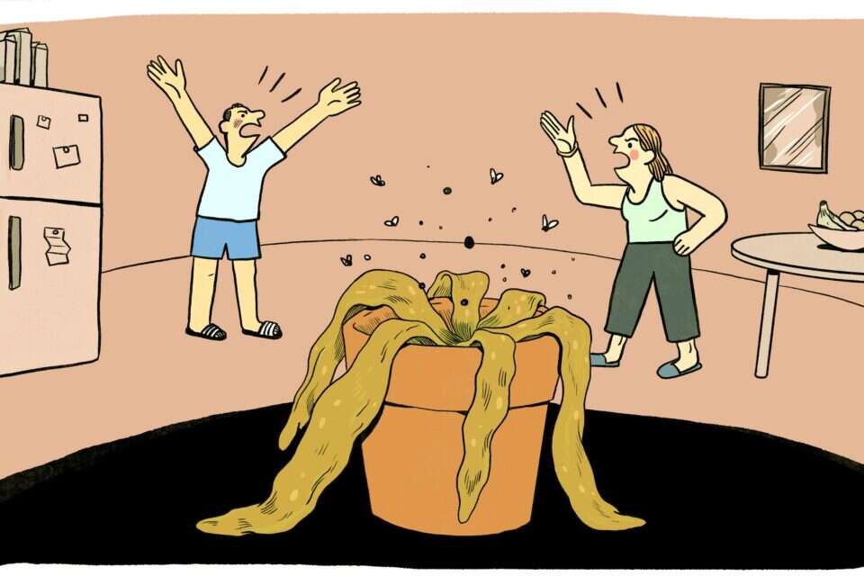 איור: נדב מצ'טה ,