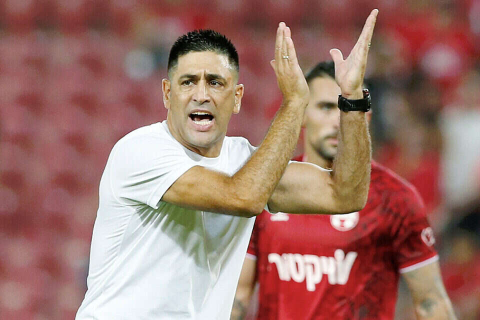 אליניב ברדה , אלן שיבר