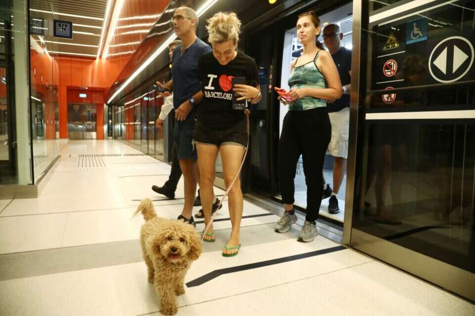 הרכבת הקלה, היום , גדעון מרקוביץ'