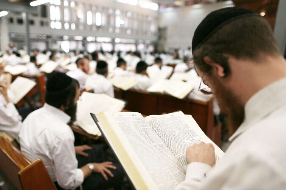 אברכים, ארכיון , נתי שוחט