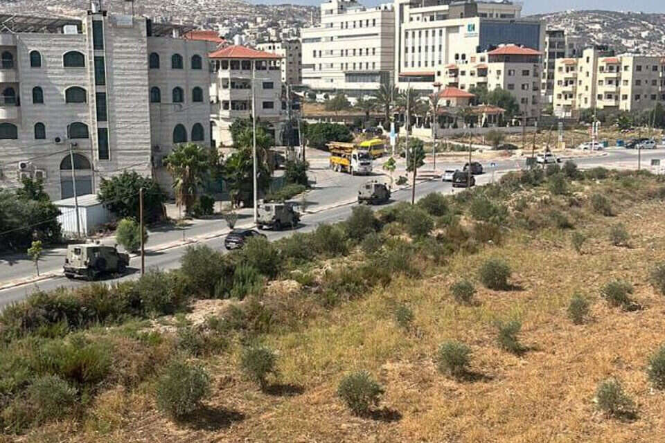 צה"ל בפעילות בג'נין , רשתות ערביות