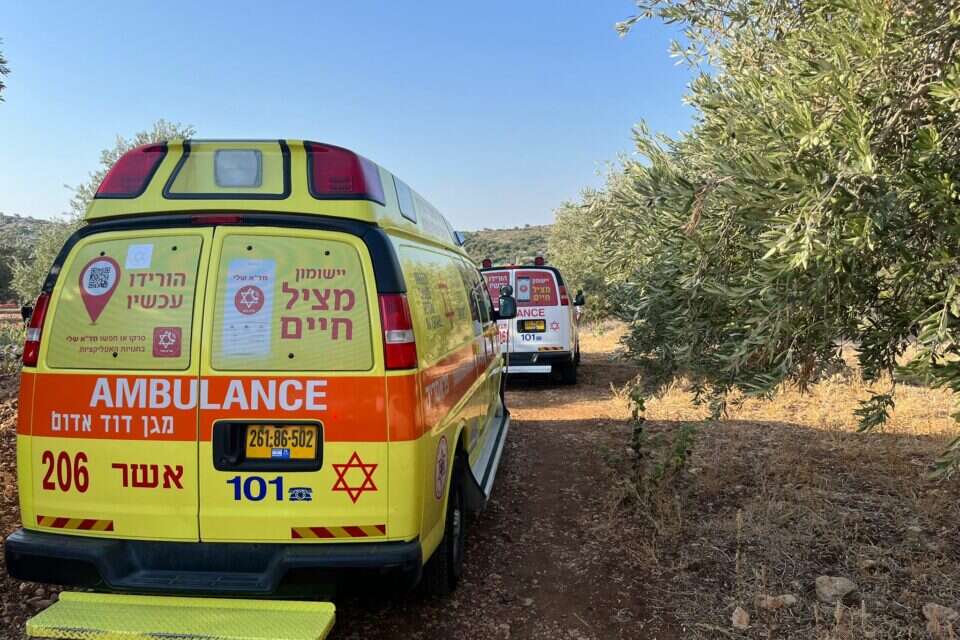 זירת האירוע , דוברות המשטרה