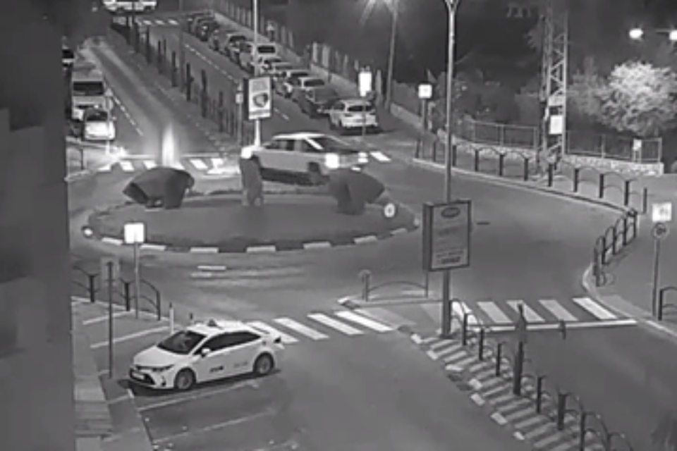 זירת תאונת הפגע וברח בטירת הכרמל , צילום מסך דוברות המשטרה