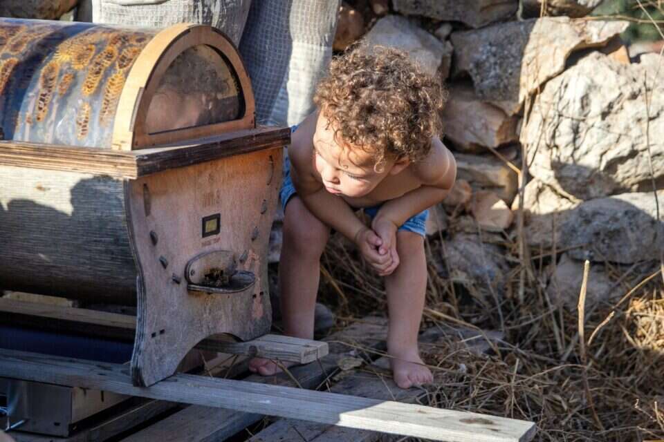 משפחת וסרמן. "הדבורה היא חיה נפלאה, קסם של הבריאה" , אורן בן חקון