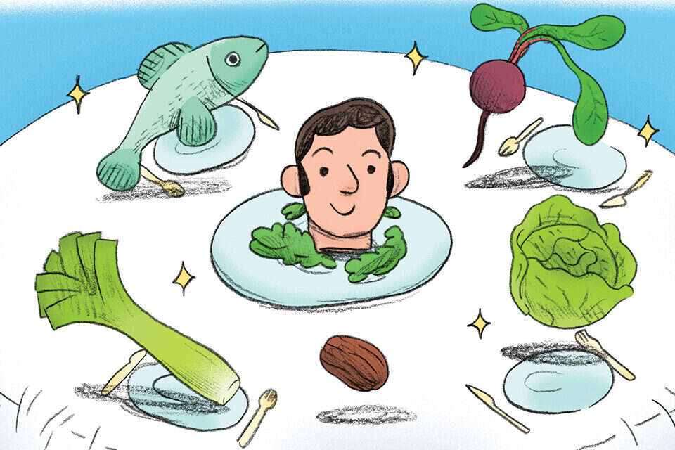 איור: נדב מצ'טה ,