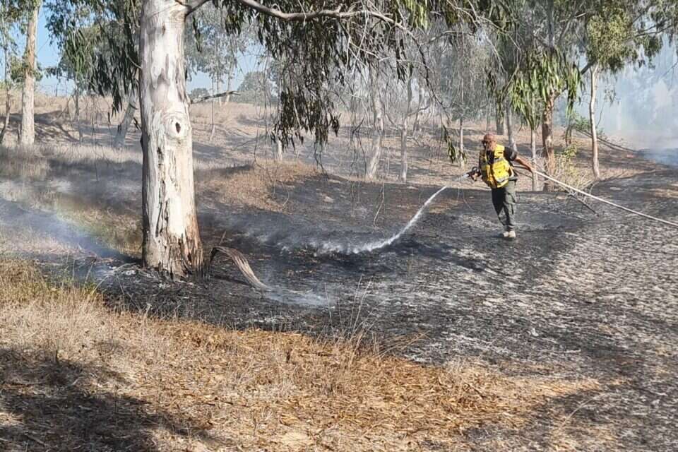 השריפה ביער בארי , עובדי ויערני קק״ל