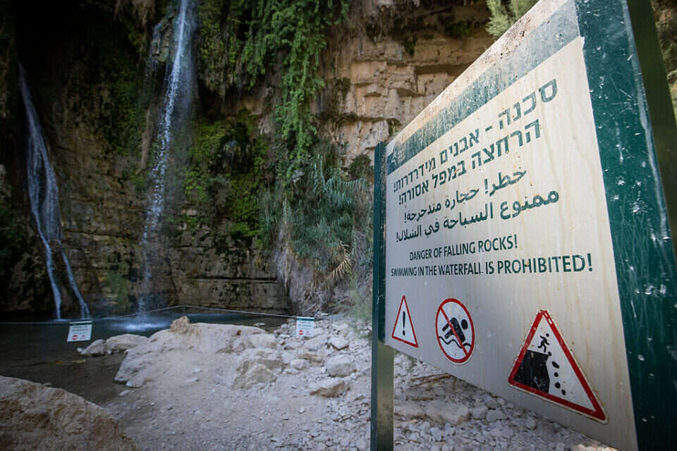 נחל דוד ,