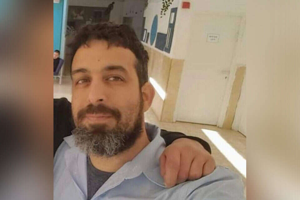 רביד כץ , ללא