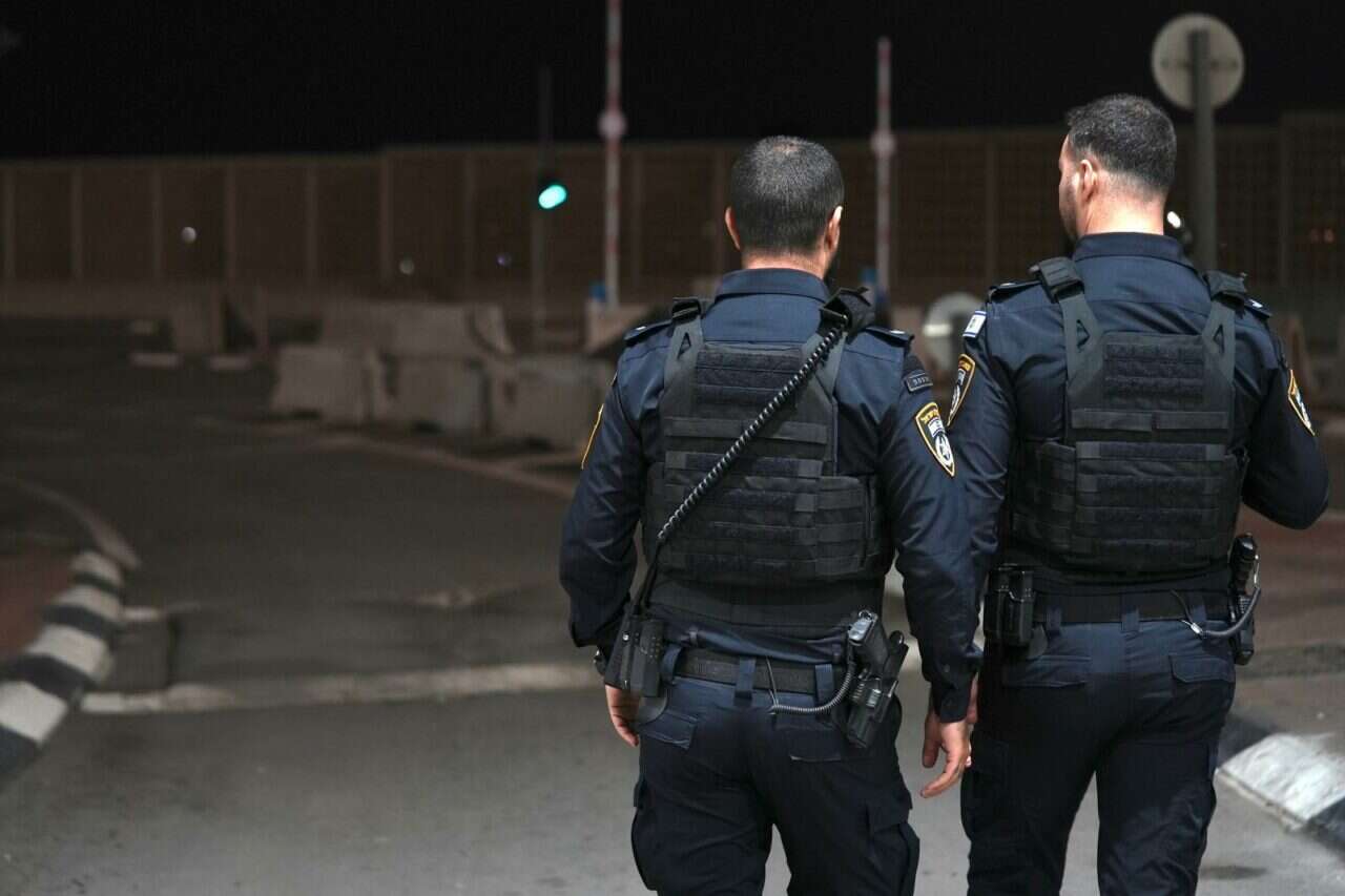 Violence on Independence Day: policemen were attacked with plowshares, two were injured