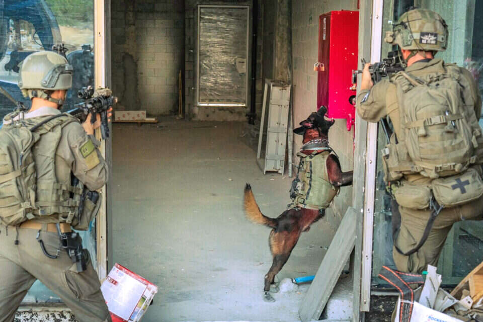 לוחמי יחידת "עוקץ" עם כלב , דובר צה"ל