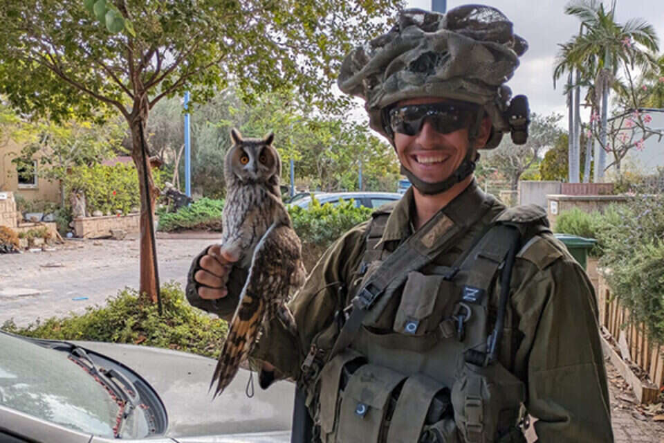 סמל י' והינשוף שהציל , דובר צה"ל