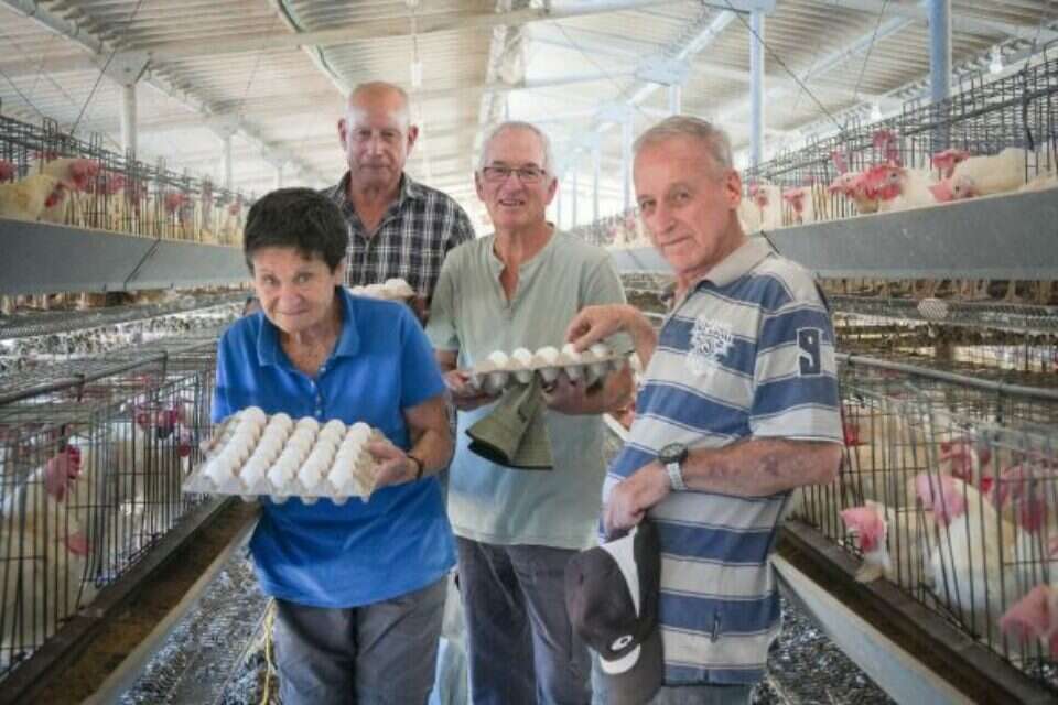 המתנדבים בבית השיטה בלול מרגליות ,  אייל מרגולין\ג'יני