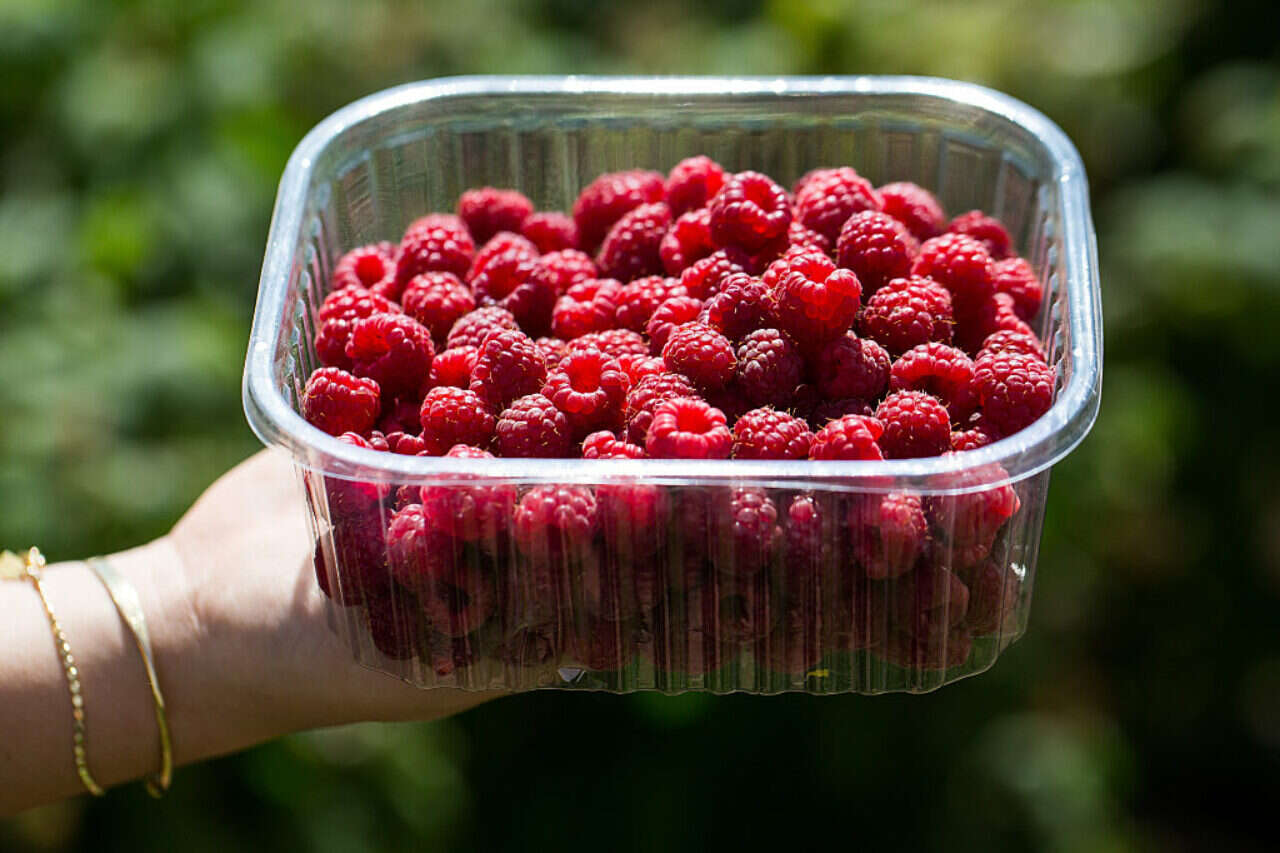 The foods that keep energy for a long time - without sugar crash