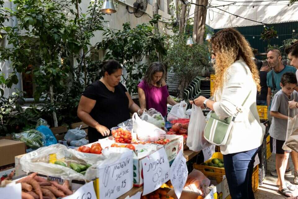 המיזם החדש של האחים , ולדה טרוגמן