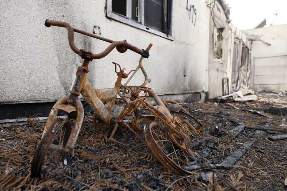צעצועים שנמצאו בקיבוץ בארי , זיו קורן