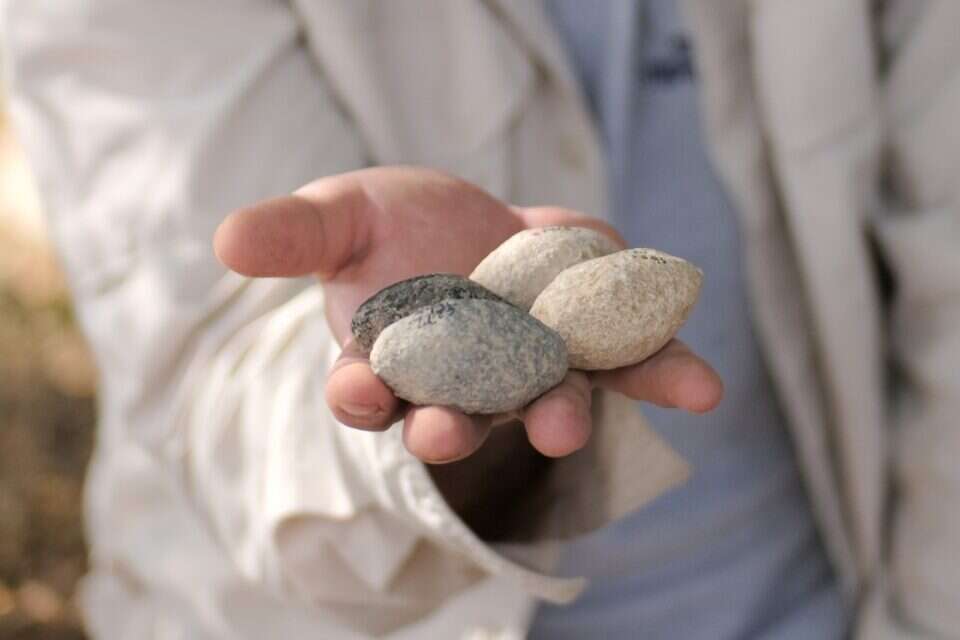 אבנים כלכוליתיות , אמיל אלג'ם, רשות העתיקות