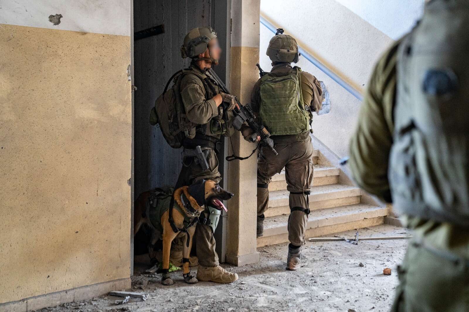 לוחם יחידת "עוקץ" עם כלבו ברצועת עזה , דובר צה"ל