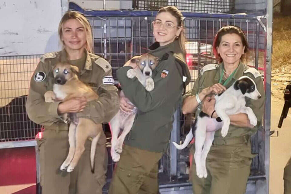 ד"ר שירה טופול (משמאל) עם כלבים שחולצו , דובר צה"ל