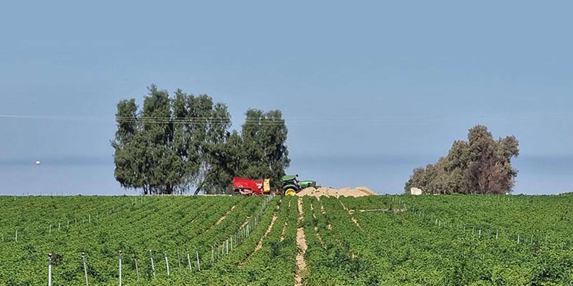 שדה בעוטף (ארכיון) , שחר והב