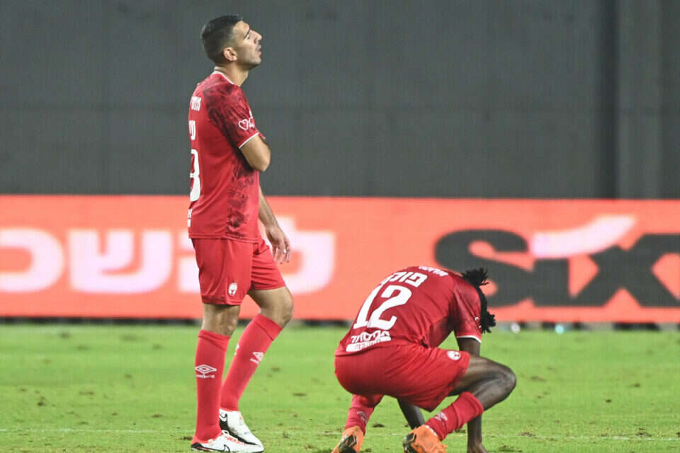 טיבי ופוקו מיואשים, הערב בנתניה , ברני ארדוב