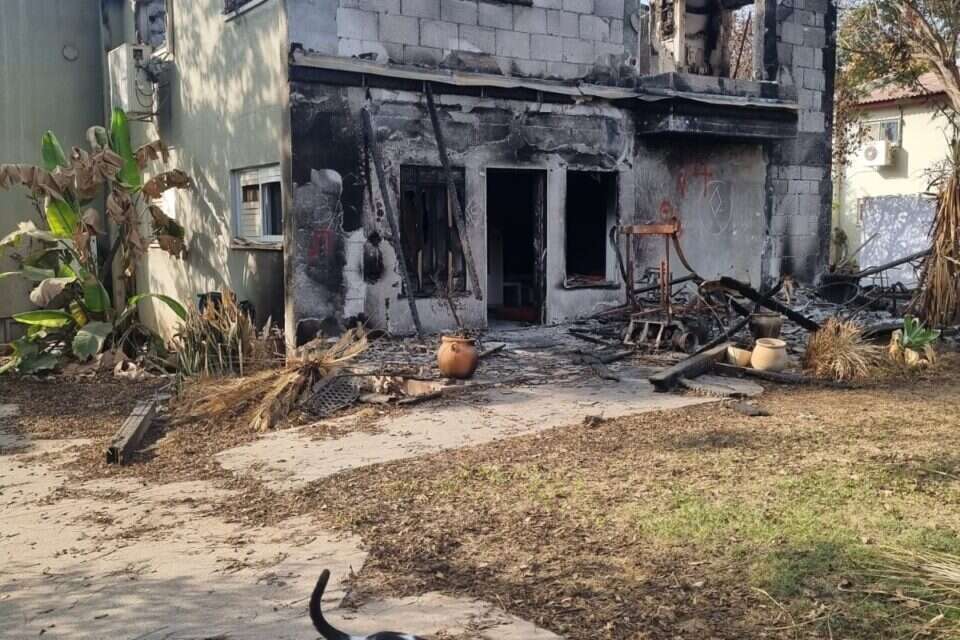 חתול שנותר מאחור בעוטף עזה , באדיבות "תנו לחיות לחיות"