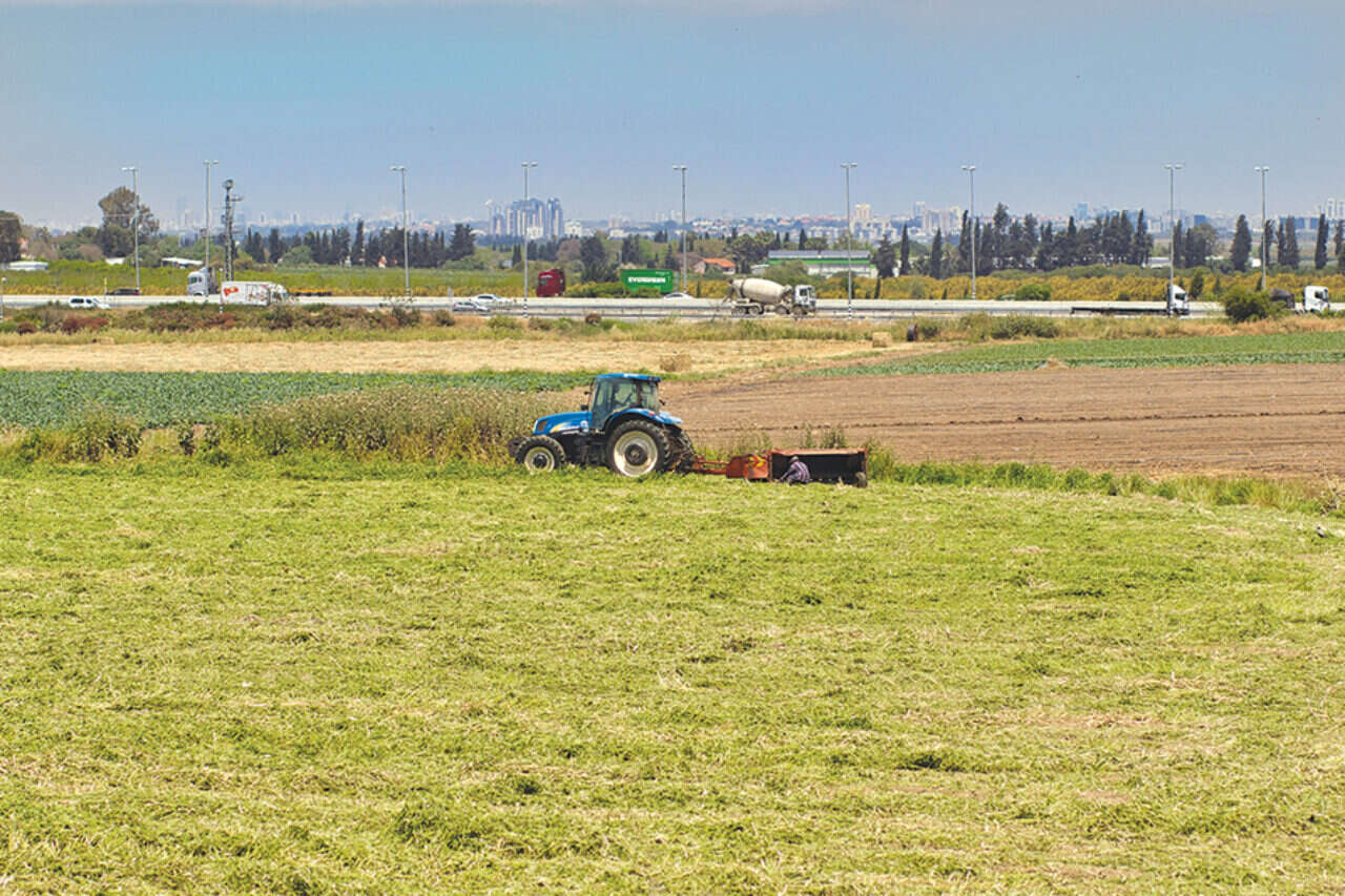 72 million shekels for the rehabilitation of agriculture in Otef: a new plan for the Takuma region