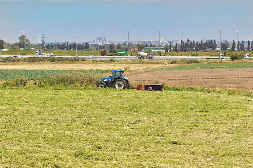 עוטף עזה (ארכיון) , שאטרסטוק