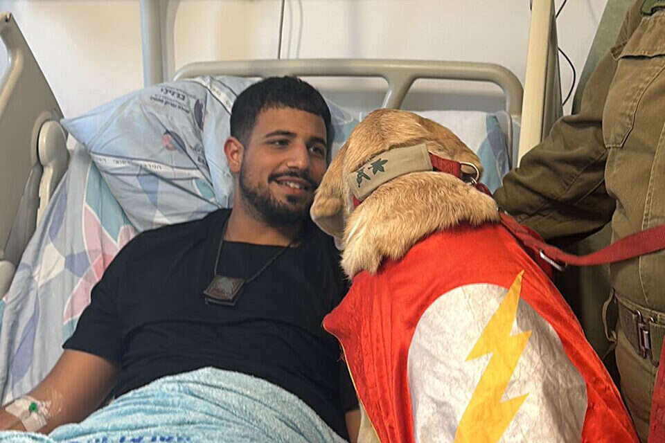 כלב שירות מבקר חייל פצוע בביה"ח ברזילי (ארכיון) , דוברות המרכז הרפואי ברזילי