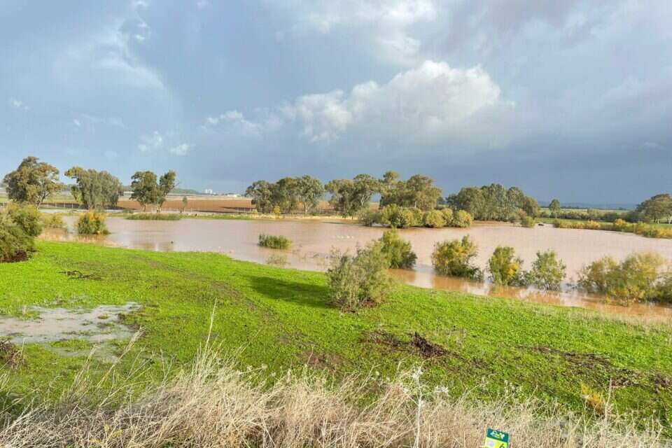 שמורת נחל חילזון בסוף השבוע , עומר בן חיים רשות הטבע והגנים
