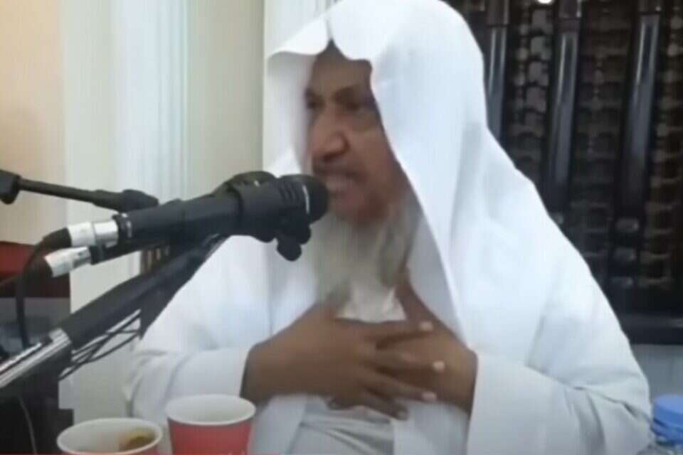השייח' הסעודי איברהים בן סאלח אל-מחמיד , רשתות ערביות