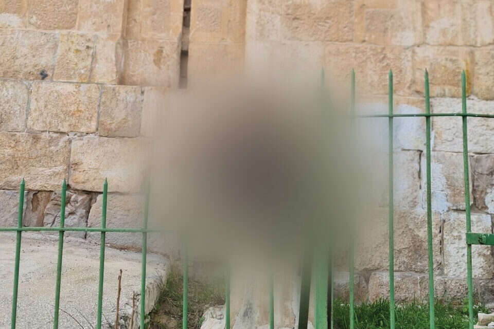 ראש החמור בבית הקברות המוסלמי , ללא