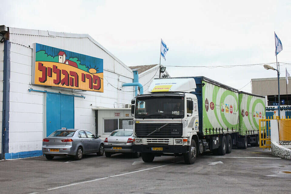 מפעלי פרי הגליל , דרור ארצי - ג'יני