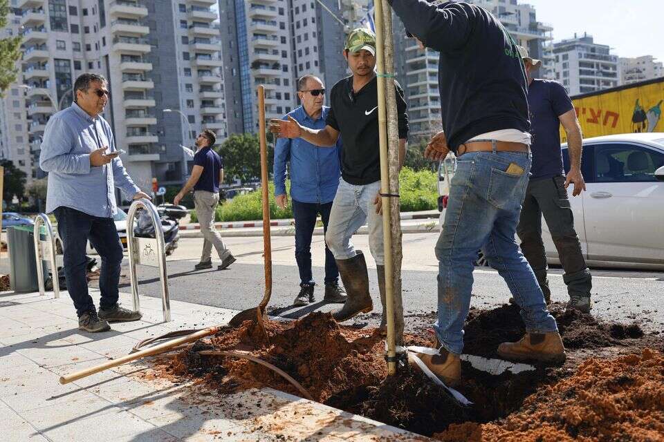 נטיעת עצים בעיר , עיריית הוד השרון