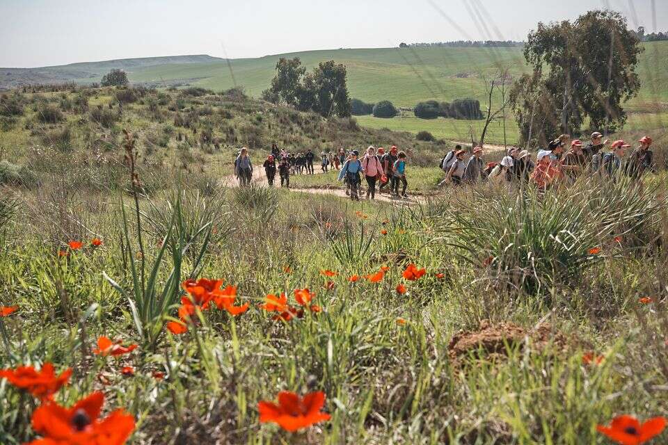 צעדת הכלניות בפסטיבל דרום אדום , יקיר אסידו