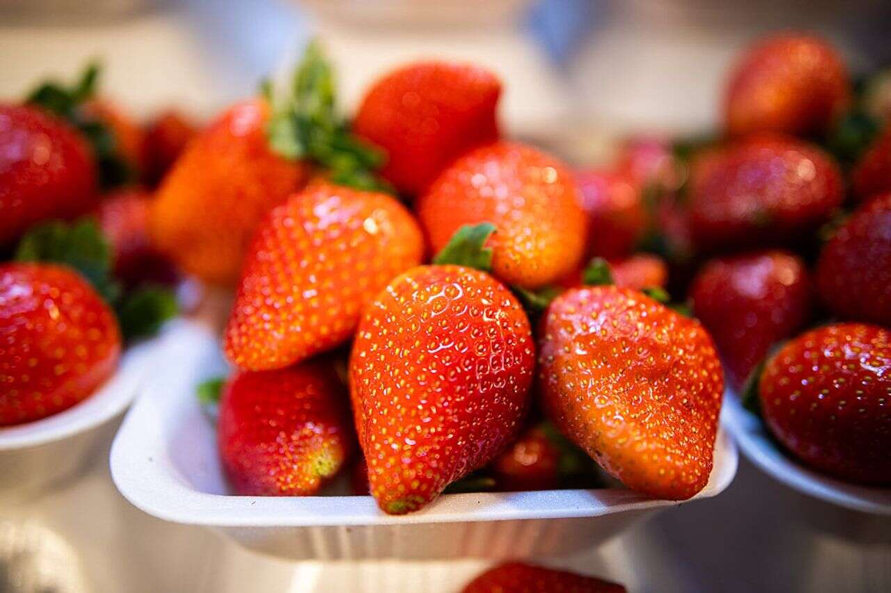 Neither in the refrigerator nor on the counter: the method that will keep the strawberries fresh - for two weeks