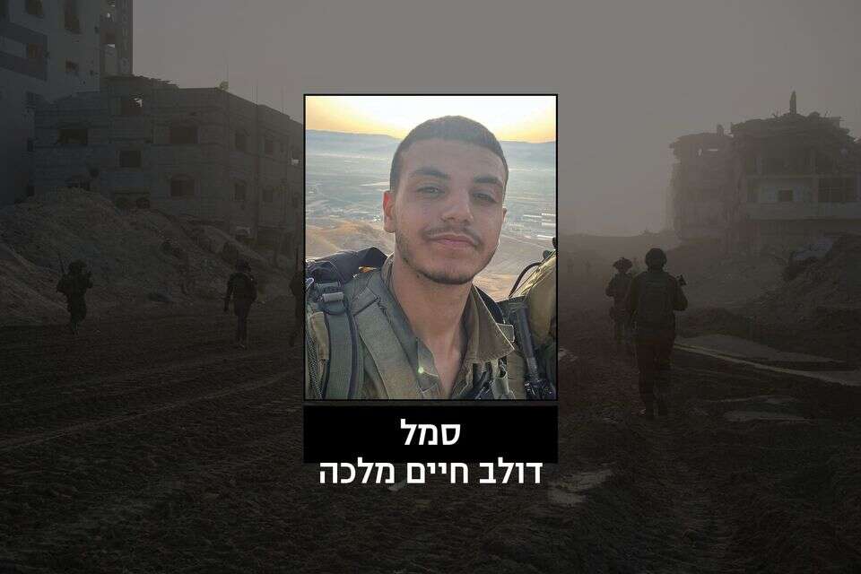 דולב חיים מלכה , ישראל היום