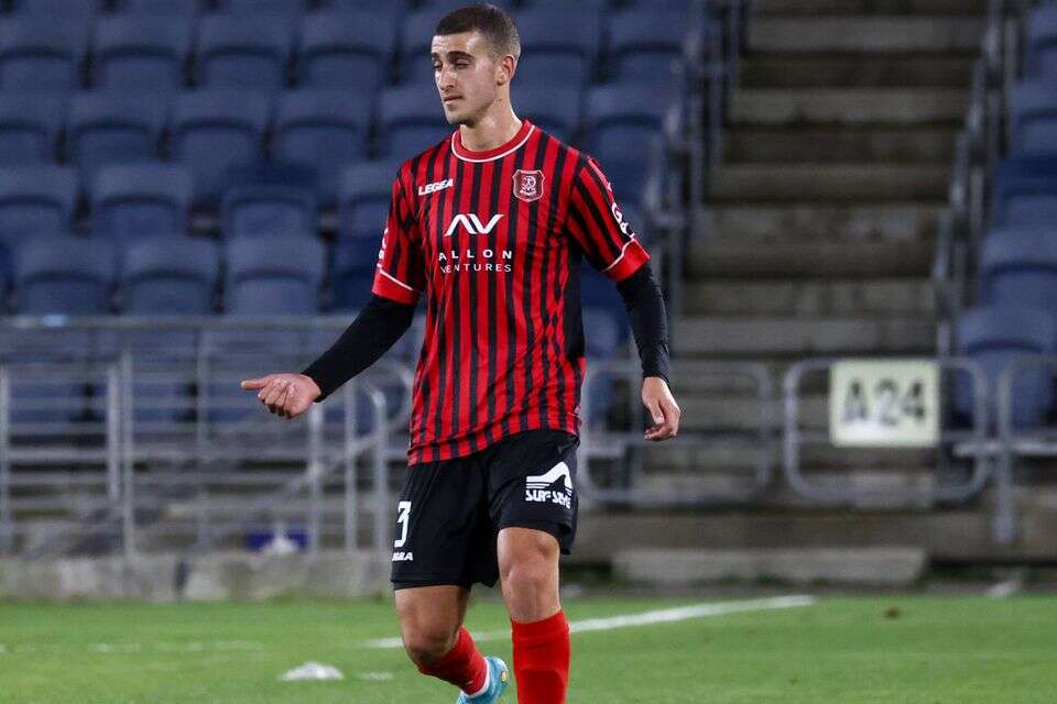 נועם מלמוד , דני מרון