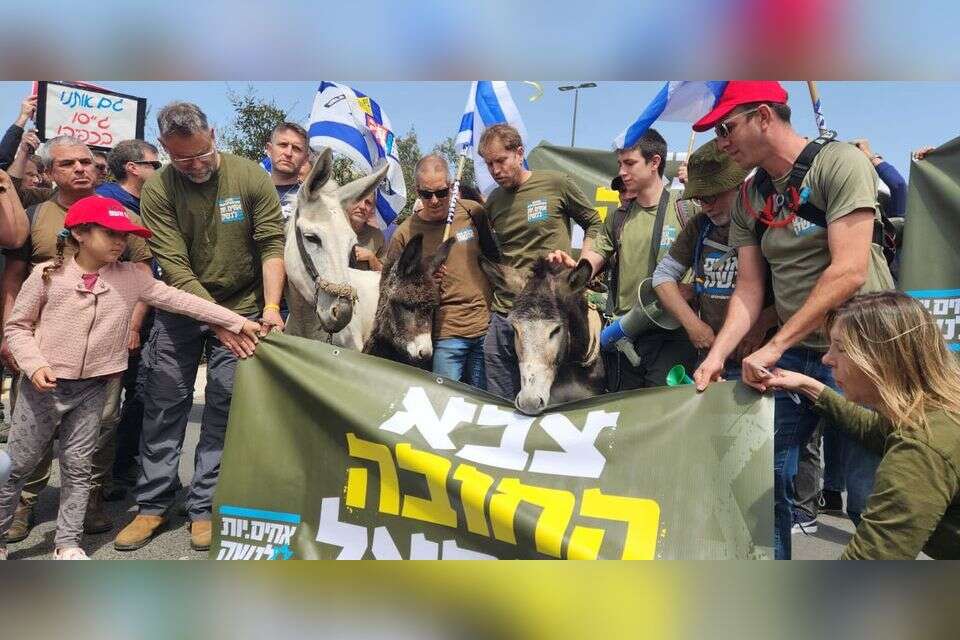 במקום ישיבת הממשלה - הפגנת החמורים , אחים לנשק