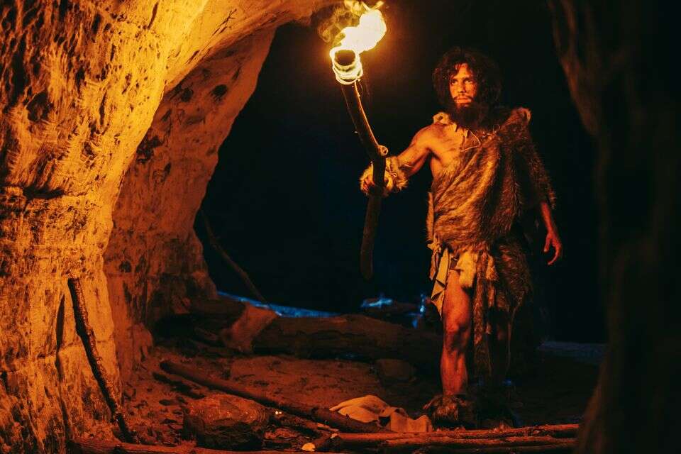 הגורם המפתיע שעיצב את התפתחות האבולוציה האנושית