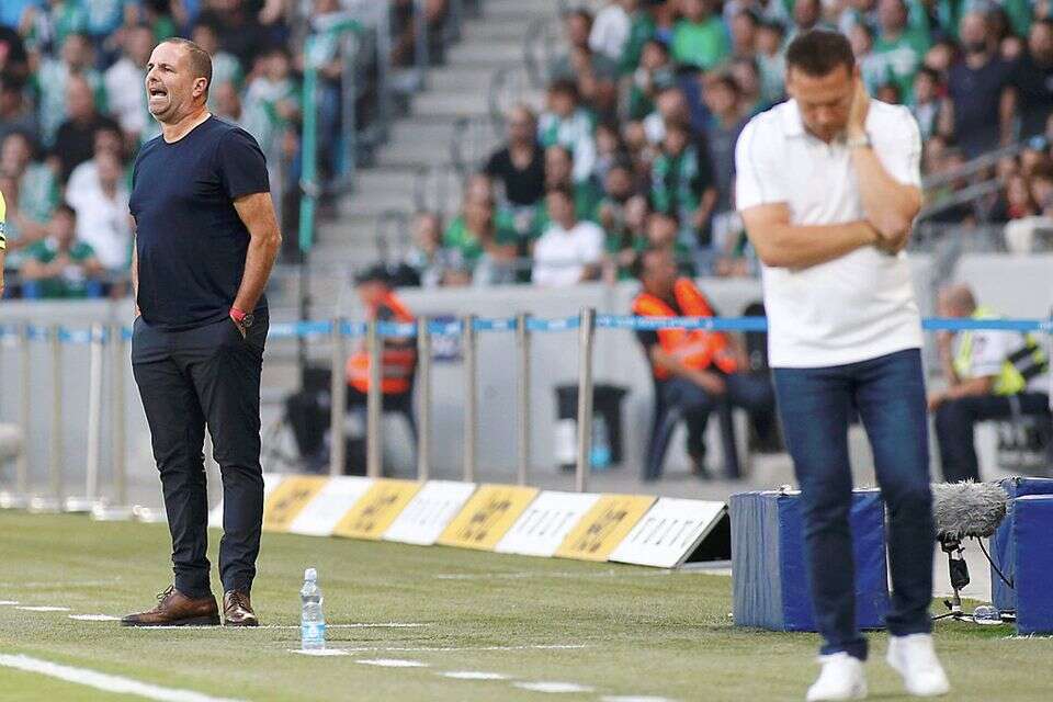 רן בן שמעון וברק בכר , אלן שיבר