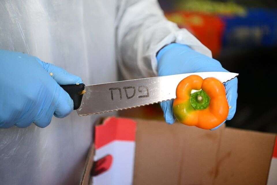 הכנות לעבי סדר ציבוריים למפונים , מנדי הכטמן