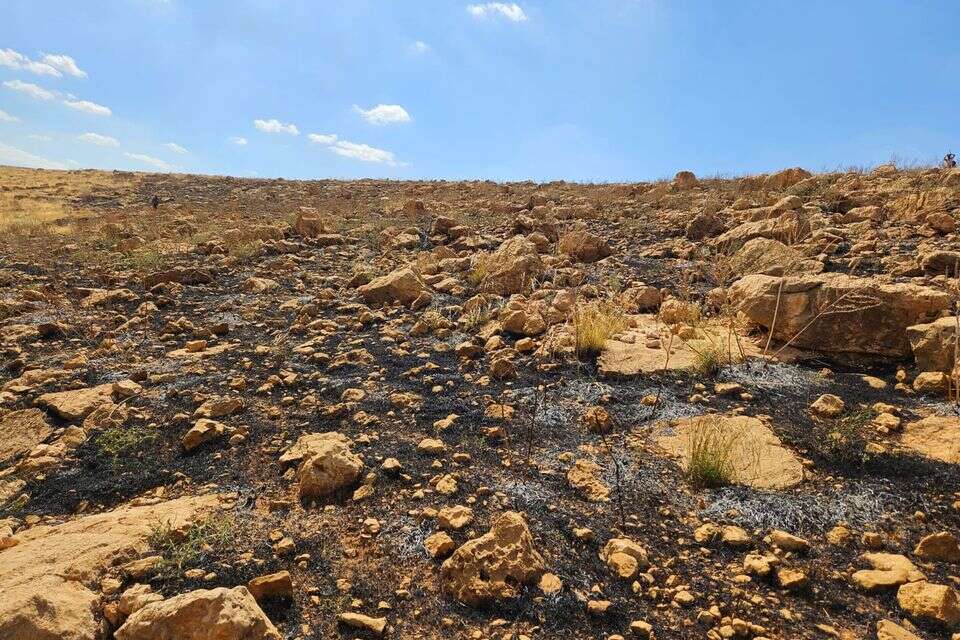 חווה בבנימין , ללא