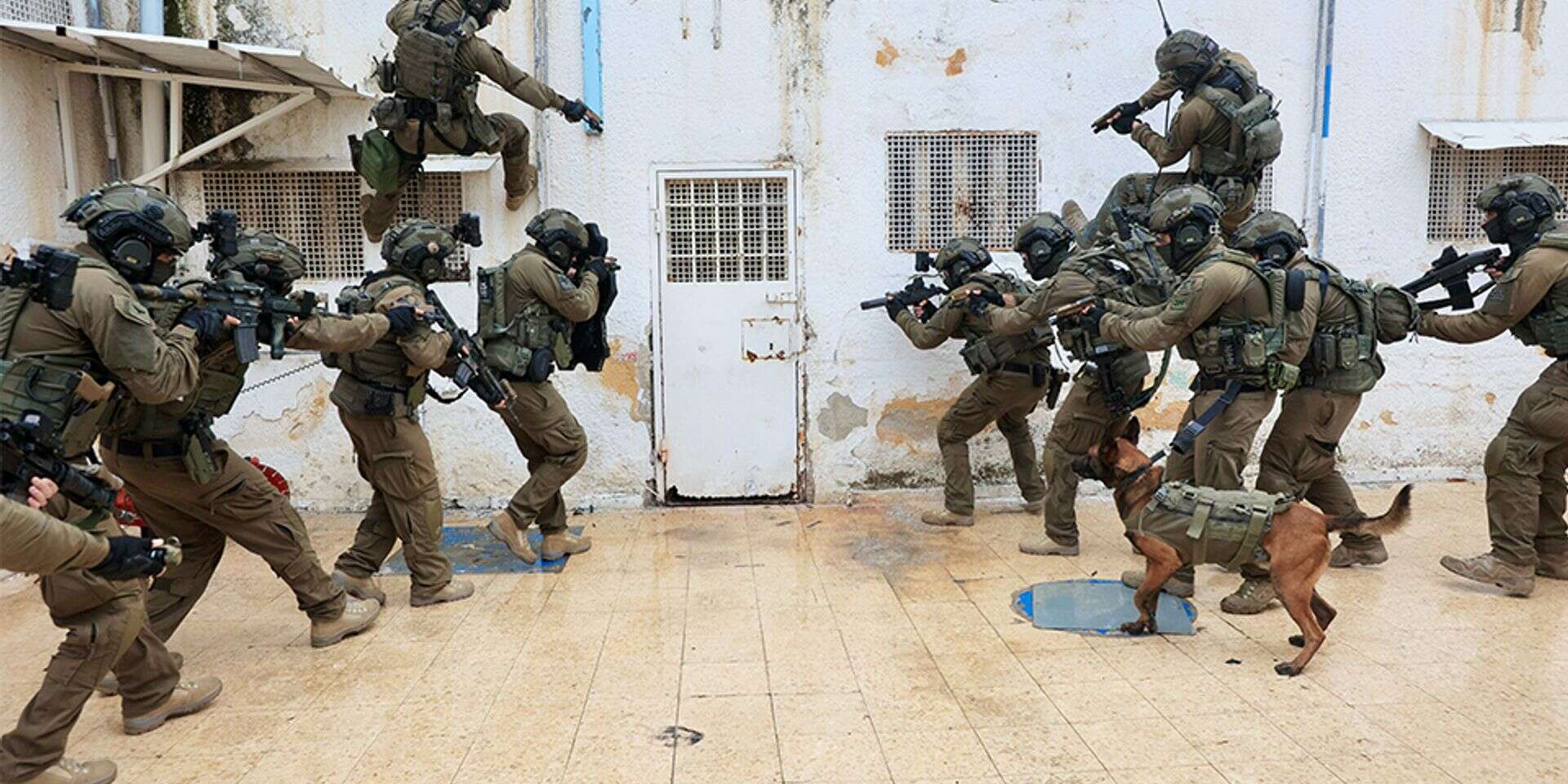 "כל כלבן הוא חלק אורגני מהכוח הלוחם" , אורן כהן