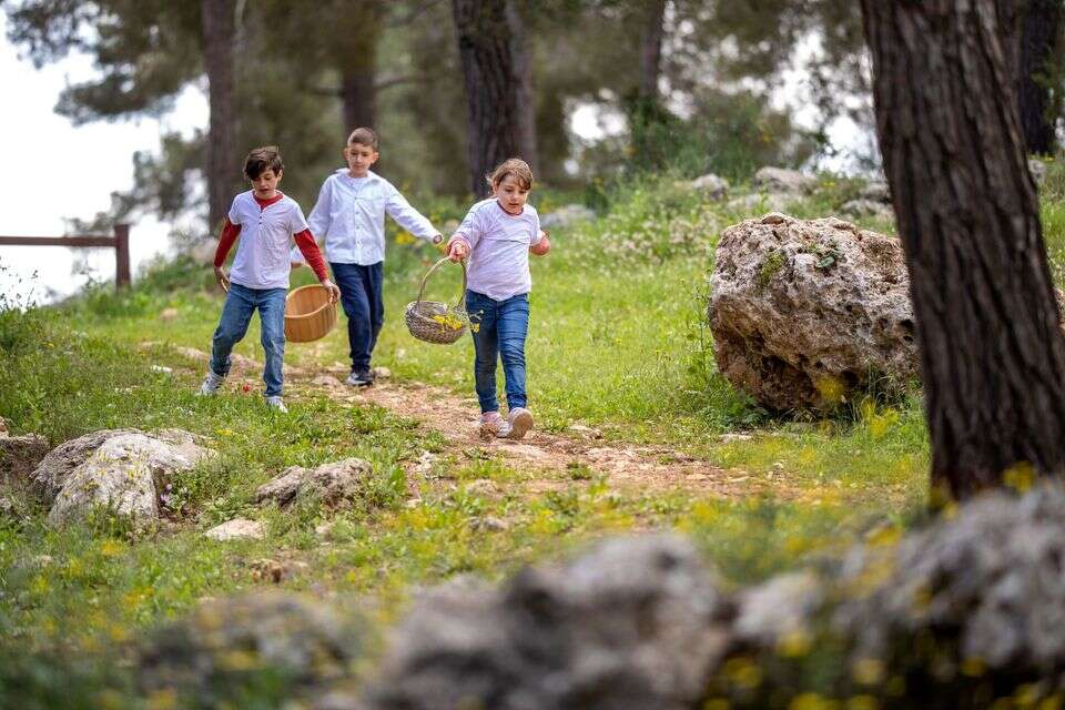 ילדים ביער עמינדב, ארכיון , אבי בלבן