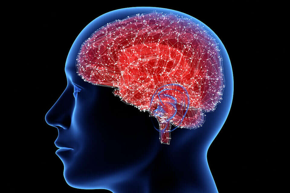 אילוסטרציה של המוח האנושי. , ThinkstockPhotos