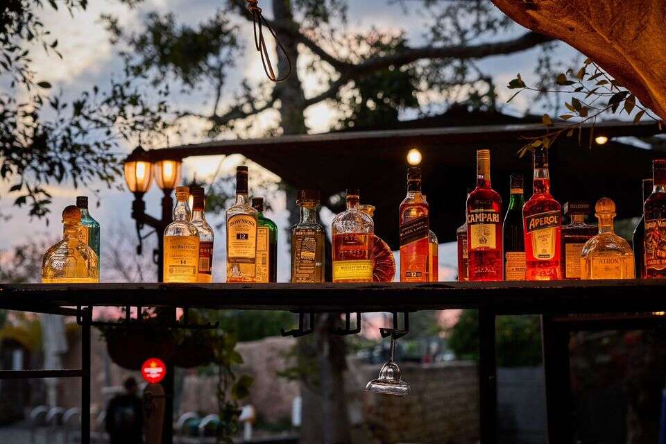 בר, עץ עתיק ותאורה רומנטית, ויקי כריסטינה , יונתן בן חיים