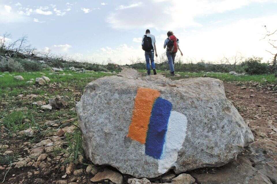 מטיילים בשביל ישראל , דב גרינבלט
